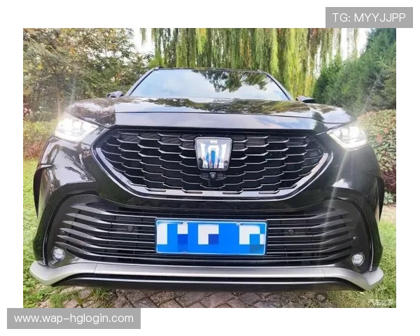 新1皇冠官方地址登录流程详细讲解让新手也能轻松上手操作